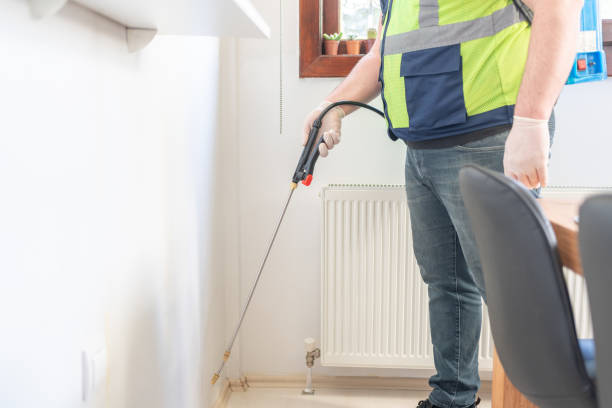 Best Wasp Removal Services  in Valley Cottage, NY